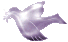 Dove
